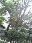image_mb_0041.jpg